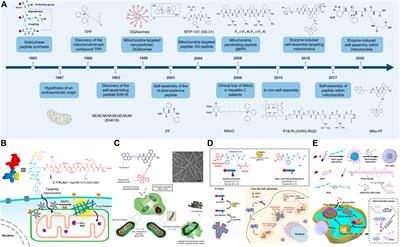 Mitochondria-Targeted Self-Assembly of Peptide-Based Nanomaterials